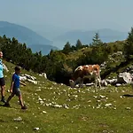 Appartamento Alpen Family Bergfreunde Near Skilift And Golf Course Bad Kleinkirchheim