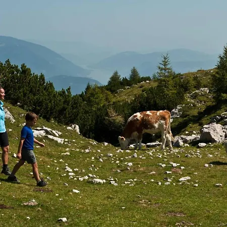 公寓 Alpen Family Bergfreunde Near Skilift And Golf Course 巴德小基希海姆