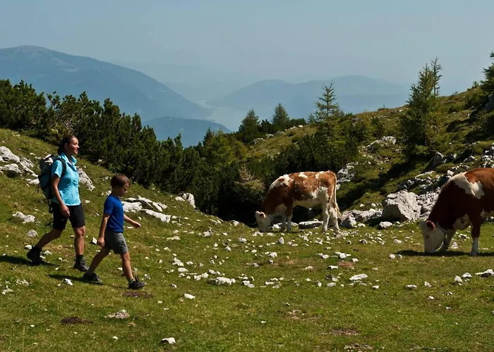 Apartament Alpen Family Bergfreunde Near Skilift And Golf Course Bad Kleinkirchheim